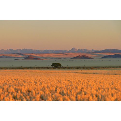 Afrika Tirasberge