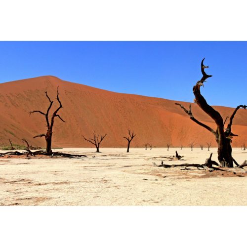 Afrika Sossusvlei