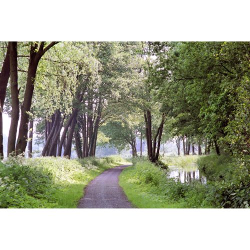 Weg am Bach