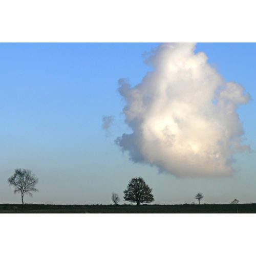 Wolke mit Bäumen