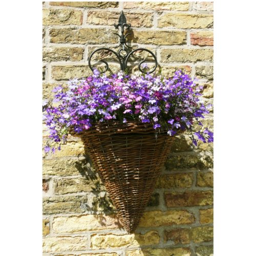 Korb mit Lobelia