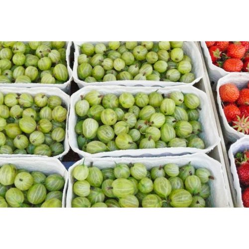 Stachelbeeren und Erdbeeren
