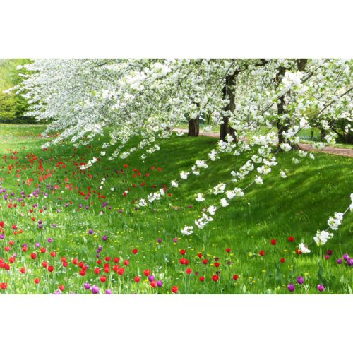 Frühlingsgarten
