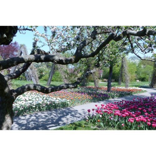 Frühlingsgarten